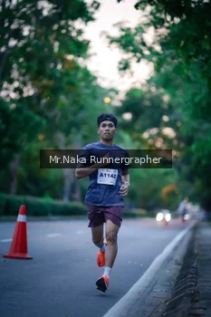 Runner Photo 2258669