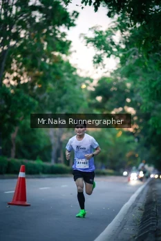 Runner Photo 2262304