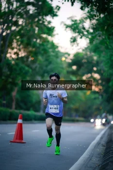 Runner Photo 2262396
