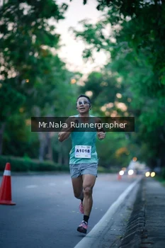 Runner Photo 2268658