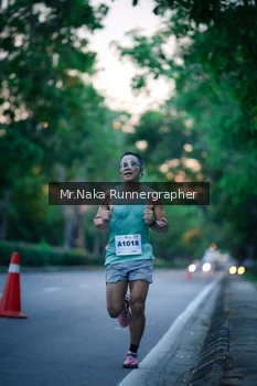 Runner Photo 2268671