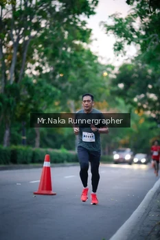 Runner Photo 2272247