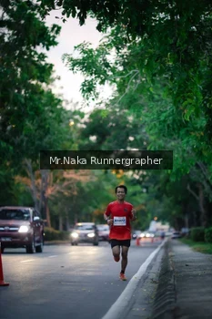 Runner Photo 2272602