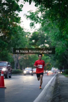 Runner Photo 2272665