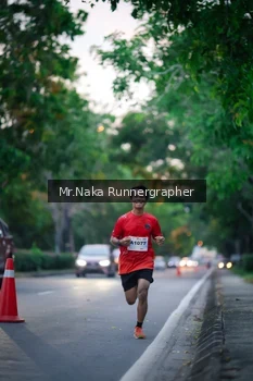 Runner Photo 2272860