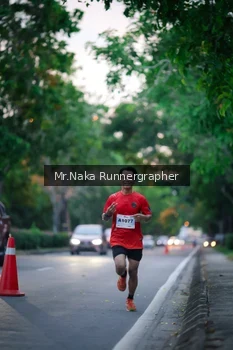 Runner Photo 2272899