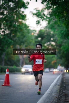 Runner Photo 2272936