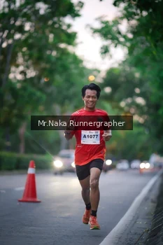 Runner Photo 2273150