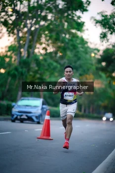 Runner Photo 2277587