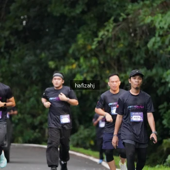 Runner Photo 2278690