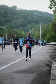 Runner Photo 2280854