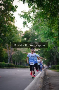 Runner Photo 2287480