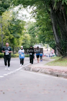 Runner Photo 2299538