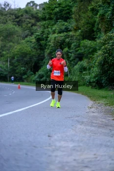 Runner Photo 2301247