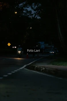 Runner Photo 2305524