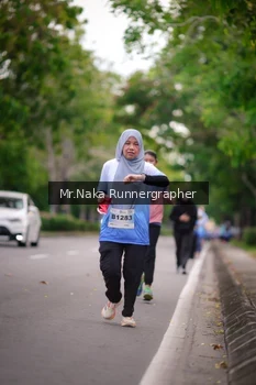Runner Photo 2334505