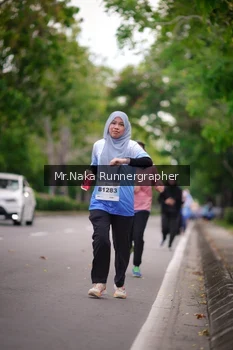 Runner Photo 2334506
