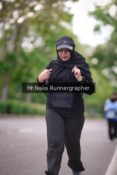 Runner Photo 2334527