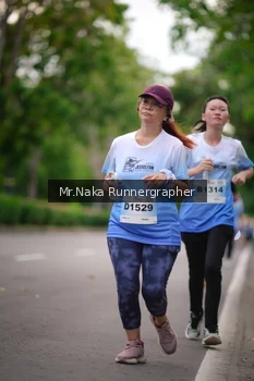 Runner Photo 2334550