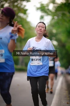 Runner Photo 2334553