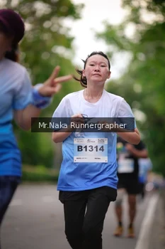 Runner Photo 2334555