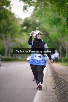 Runner Photo 2334578