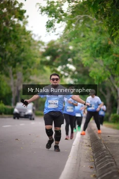 Runner Photo 2334602