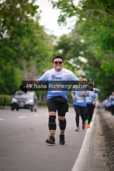 Runner Photo 2334604