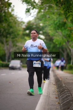 Runner Photo 2334637