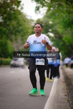Runner Photo 2334640