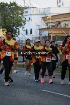 Runner Photo 2334654