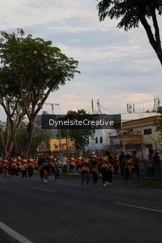 Runner Photo 2335522