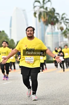 Runner Photo 2345591