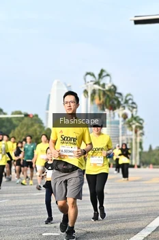 Runner Photo 2348163