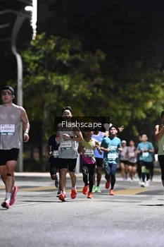 Runner Photo 2350299