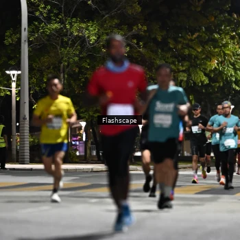 Runner Photo 2353254