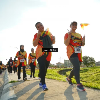 Runner Photo 2378739