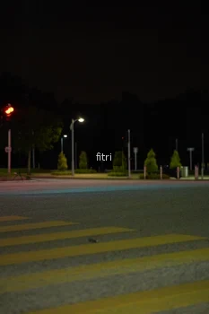 Runner Photo 2393372