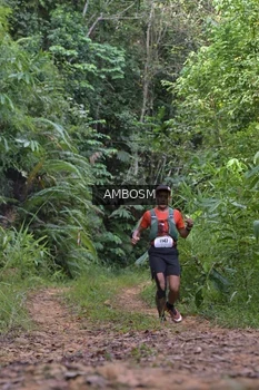 Runner Photo 2413712