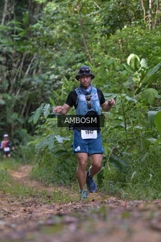 Runner Photo 2413736