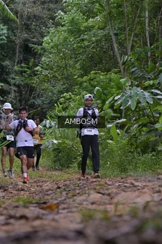 Runner Photo 2415864