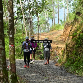 Runner Photo 2416722