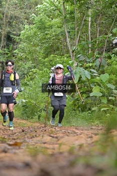 Runner Photo 2417116