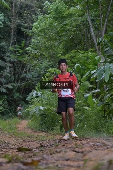 Runner Photo 2417471