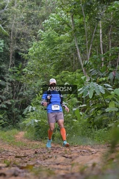 Runner Photo 2417548