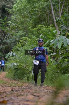 Runner Photo 2417565