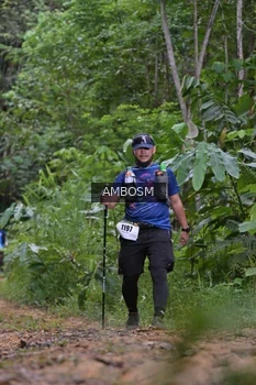 Runner Photo 2417570