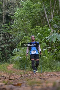 Runner Photo 2417587