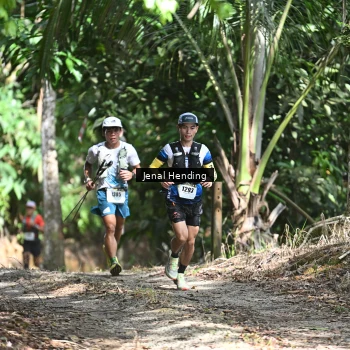 Runner Photo 2417791