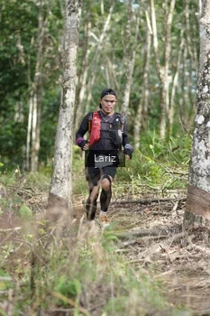 Runner Photo 2422637